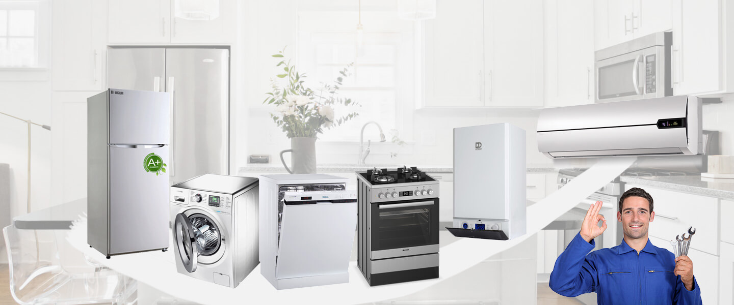 Şuhut Electrolux Servisi